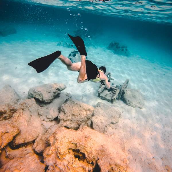 Entdecken Sie die Unterwasserwelt