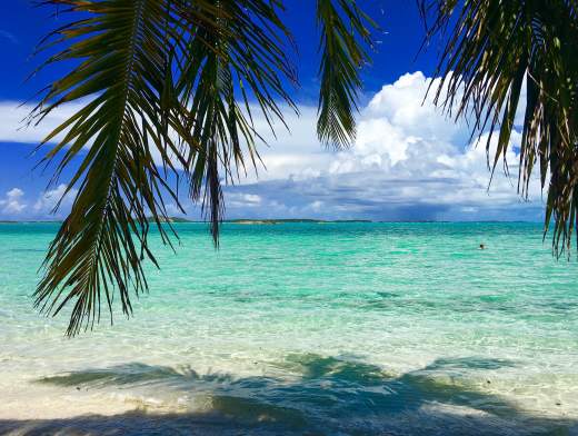 Die Bahamas erleben