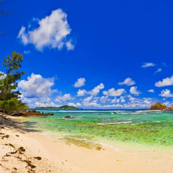 Der Strand der Seychellen