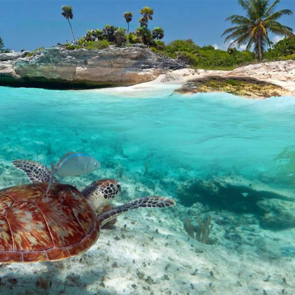 Bereit für die Seychellen?