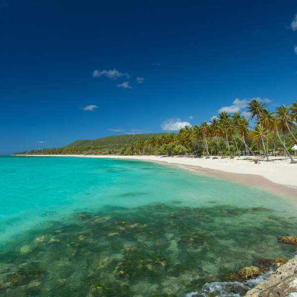 Willkommen auf Marie-Galante