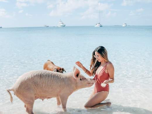 Die Exuma Inseln auf einem Kabinencharter