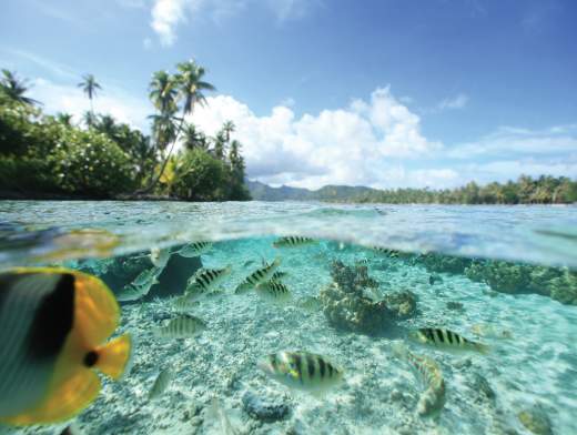 Land & Meer - Kombi in Polynesien