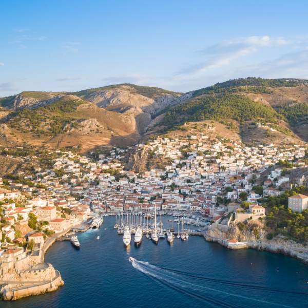 Hydra