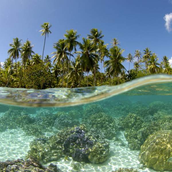 Das kristallklare Wasser des Motus Tautau