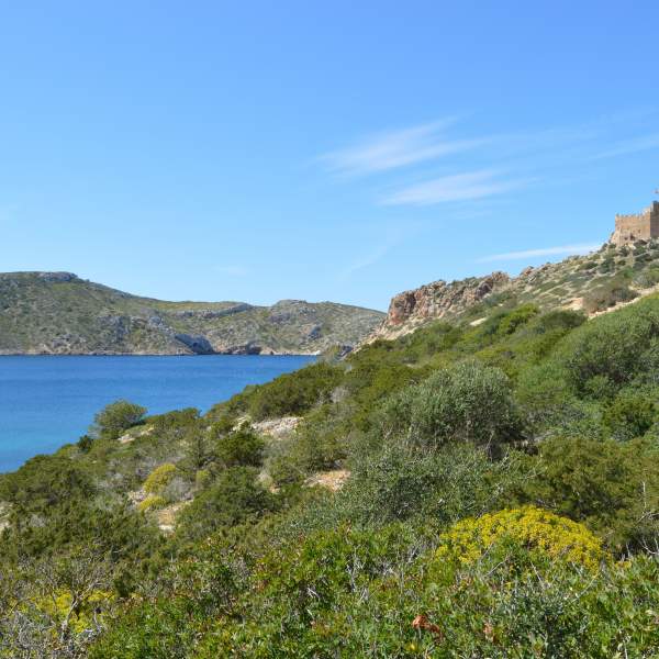 Die Insel Cabrera und ihr Schloss
