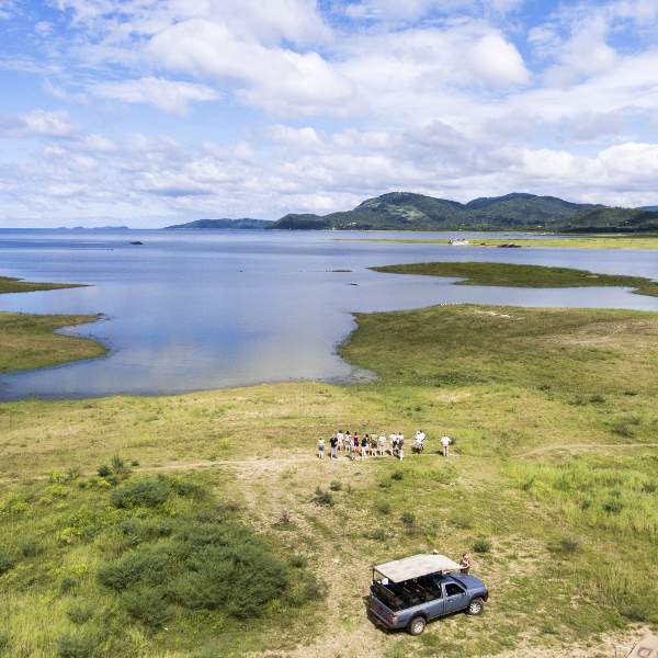 Der Kariba-See, bevölkert von vielen Tieren