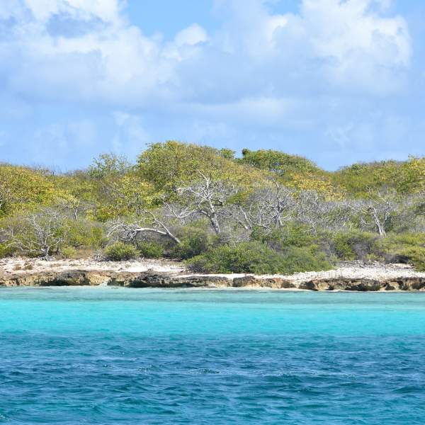 Entdecken Sie Guadeloupe und seine wunderschönen Panoramen