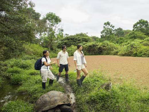 Tour rund um die Galapagos-Inseln