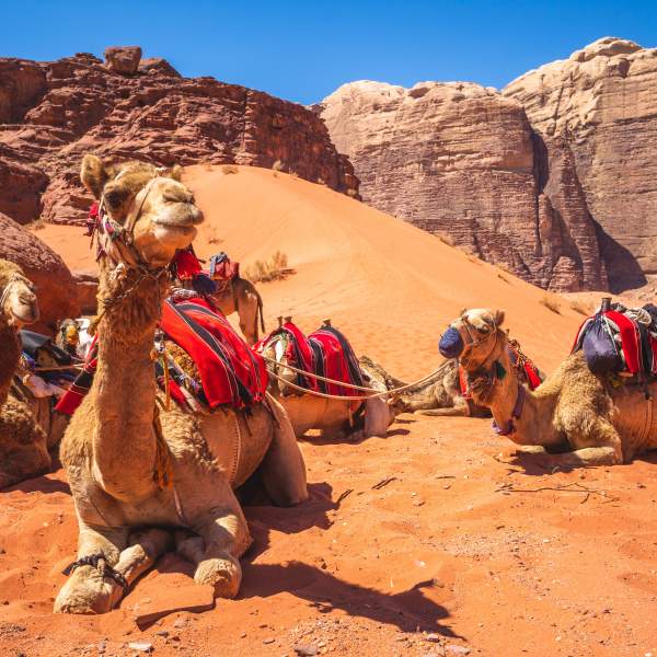 Die beeindruckende Wüste von Wadi Rum