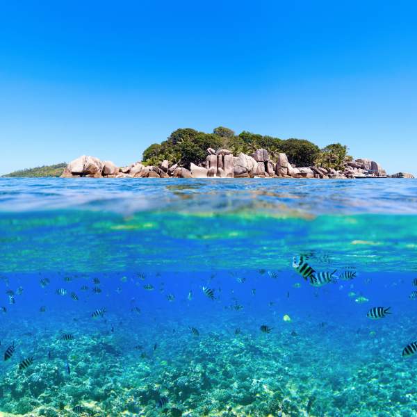 Seychellen: ein Paradies zu Land & zu Wasser