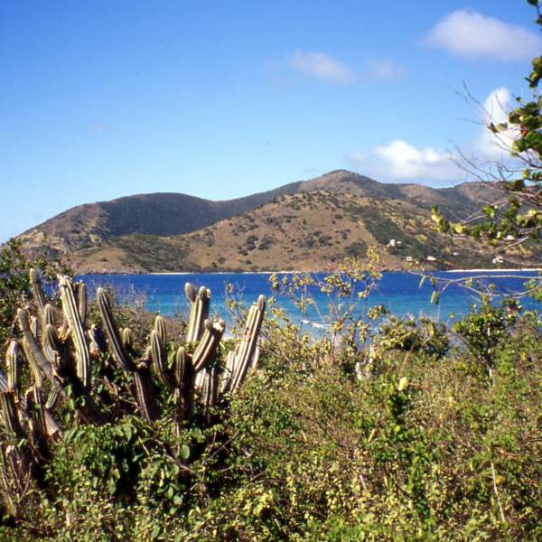 Norman Island, die Insel, die Robert Louis Stevenson inspirierte