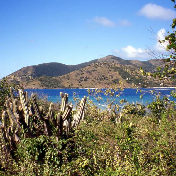 Norman Island, die Insel, die Robert Louis Stevenson inspirierte