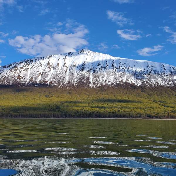 Das kleine Dorf Ketchikan