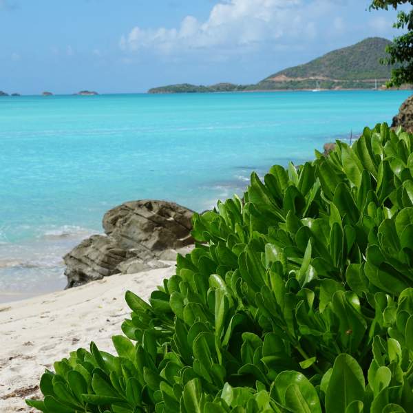 Bereit, in die Karibik zu reisen?