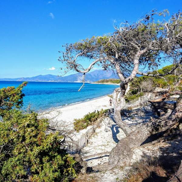Entspannen Sie am schönen Strand von Saleccia