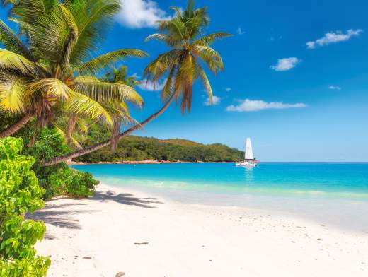 Segeln Sie mit einem Katamaran auf den Seychellen