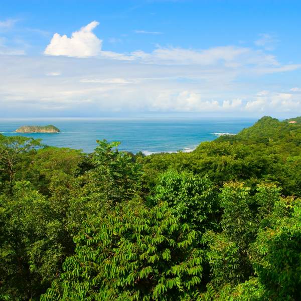 Fahren Sie durch den Manuel Antonio National Park