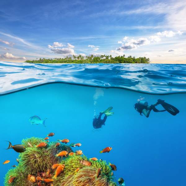 Tauchen Sie in klares Wasser