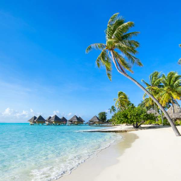 Die Insel Thérèse