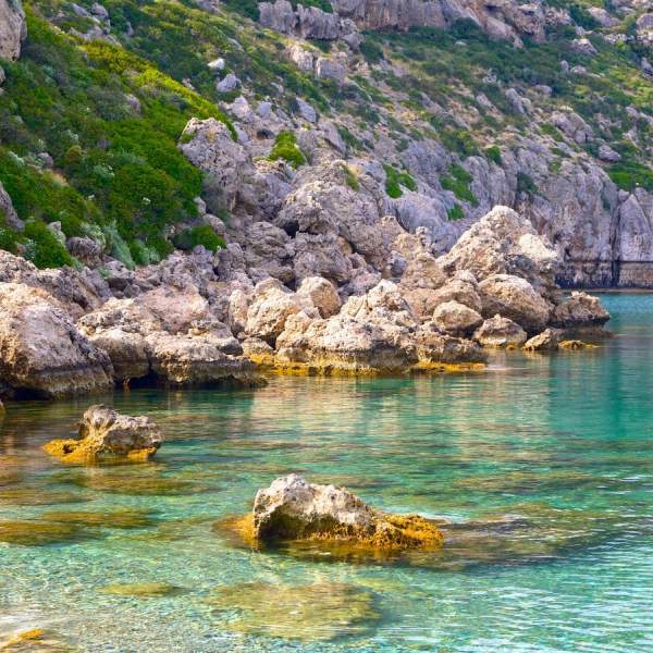Anthony Quinn Bay