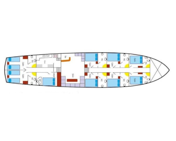 Layout