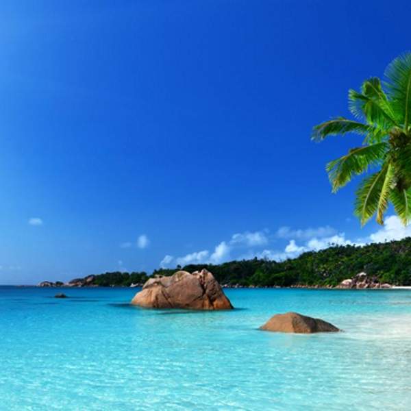 Der Strand Anse Lazio