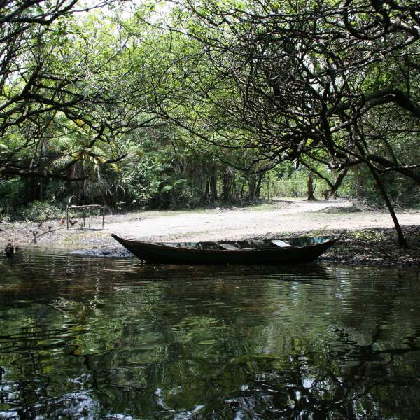 Das Tapajoara-Reservat