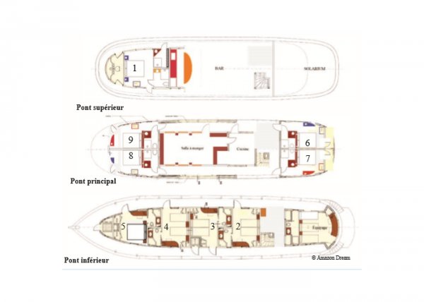Layout