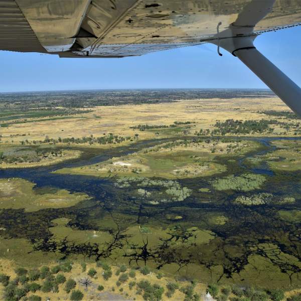 Vogelperspektive auf das Okavango-Delta