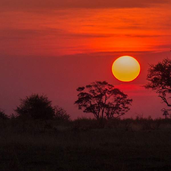 Sonnenuntergang in Botswana